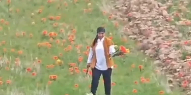 Цветы Туркестанская область