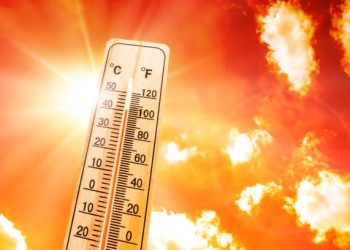 жара, погода