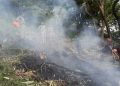В Индии разбился вертолёт с паломниками: погибли 7 человек