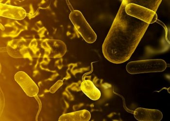 Казахстанцы могут подцепить опасную инфекцию в Турции?