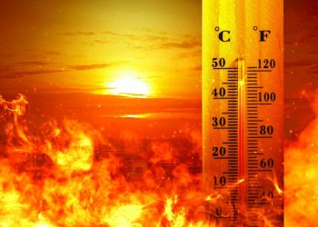 Жара до 40-42 градусов прогнозируется в ближайшие дни