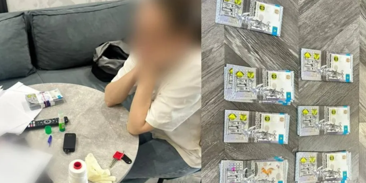 В Павлодаре за попытку продать почку арестовали иностранку