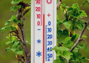 До +15 похолодает в некоторых регионах Казахстана из-за северного антициклона