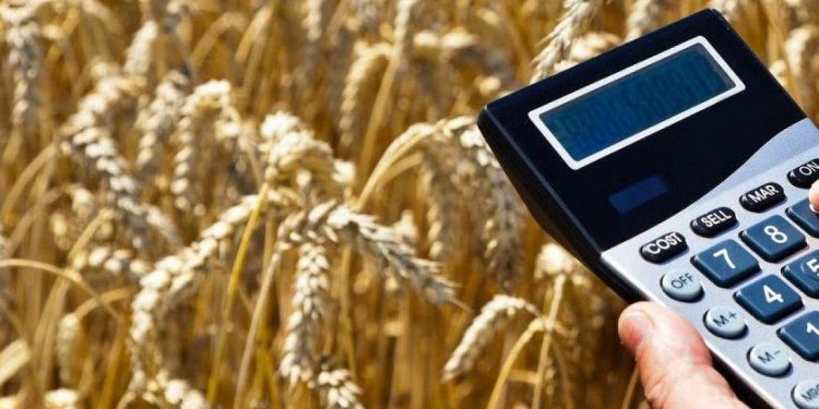 Турция инвестирует в сельское хозяйство Казахстана 160 млрд тенге