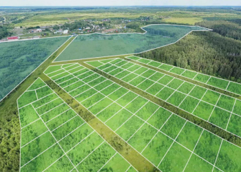 Землю почти на 30 млрд тенге заставили вернуть государству в СКО