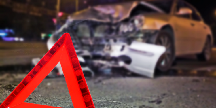 Лошадь сбил автомобиль в Павлодарской области