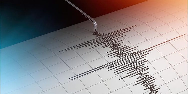 Землетрясение магнитудой 4,6 произошло в 379 км от Алматы