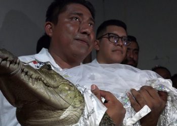 Свадьбу с кайманом сыграл чиновник в Мексике