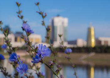 Вашего ребёнка зовут Астана? Узнайте 10 интересных фактов о столице в преддверии её праздника