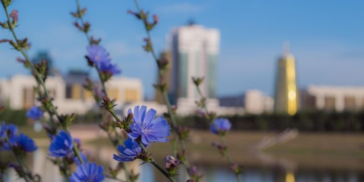 Вашего ребёнка зовут Астана? Узнайте 10 интересных фактов о столице в преддверии её праздника