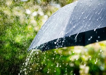 Синоптики рассказали о погоде на 11 июля