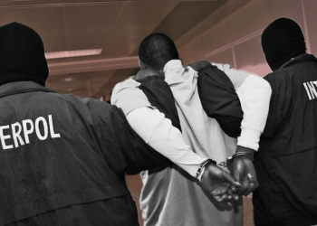 Подельника Дикого Армана экстрадировали из ОАЭ