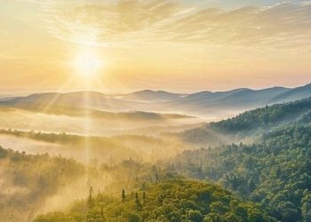 Какая будет погода в Казахстане 15 июля