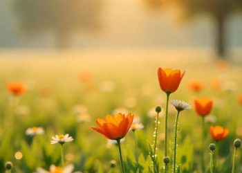 Какой будет погода в Казахстане 16 июля