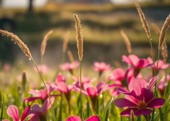 Синоптики рассказали о погоде на 17 июля