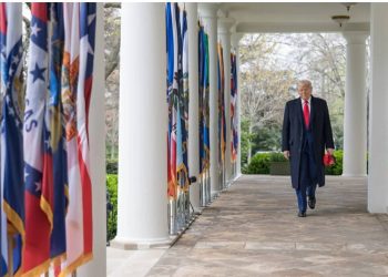 Заболевание системы кровообращения выявили у Дональда Трампа