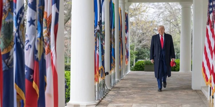 Заболевание системы кровообращения выявили у Дональда Трампа