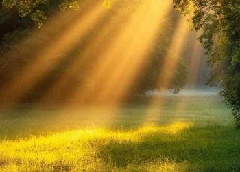 Синоптики сообщили о погоде на 22 июля