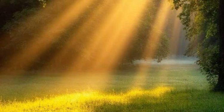 Синоптики сообщили о погоде на 22 июля