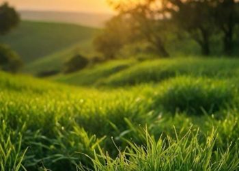 Синоптики рассказали о погоде в Казахстане на 24 июля