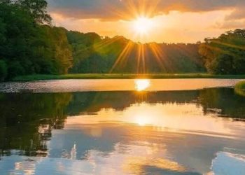 Синоптики сообщили, какой будет погода 25 июля