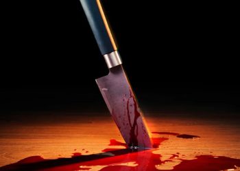 Зверское убийство произошло в Алматы, но наказать убийцу не получится