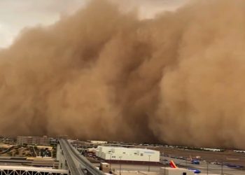 Мощная песчаная буря обрушилась на город в США (ВИДЕО)