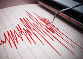 Землетрясение магнитудой 4,5 произошло в ВКО