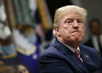 Трамп заявил, что Зеленский может остановить войну отказом от Крыма