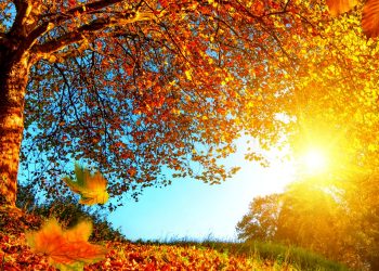 Ясную и сухую погоду обещают синоптики в Казахстане