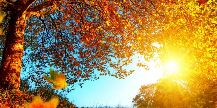 Ясную и сухую погоду обещают синоптики в Казахстане