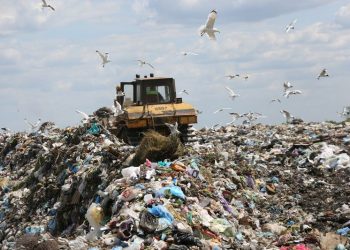 В области Жетысу пресечена незаконная деятельность полигона ТБО