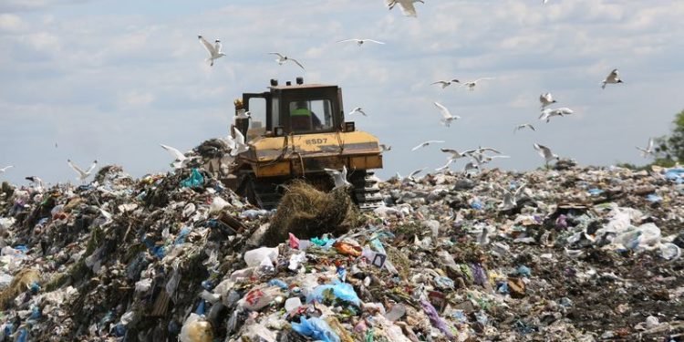 В области Жетысу пресечена незаконная деятельность полигона ТБО