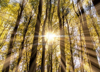 Какой будет погода 18 августа