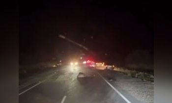 Внедорожник насмерть сбил 9 лошадей на трассе Алматы – Өскемен (ВИДЕО)