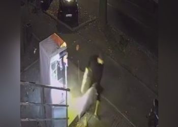 Подростки в Алматы пошли на “дело” ради плюшевых зверей