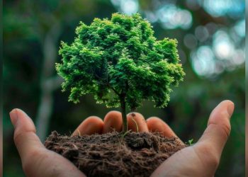 Равнодушие к чистоте опаснее, чем кажется