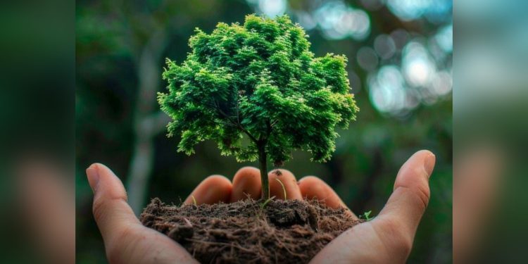Равнодушие к чистоте опаснее, чем кажется