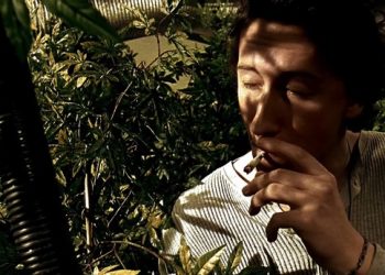 Карагандинцам предложили выгодно вложиться в коноплю, но дело оказалось липовым