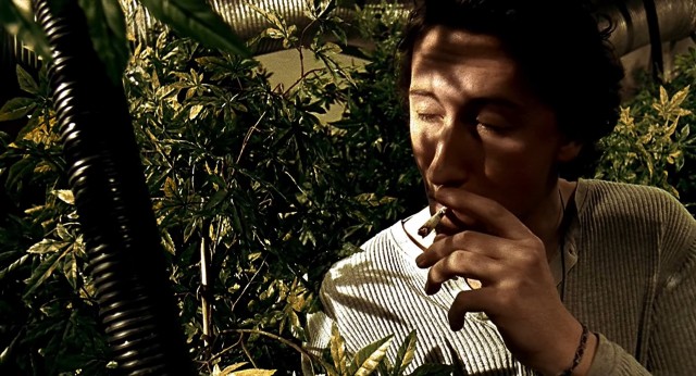 Карагандинцам предложили выгодно вложиться в коноплю, но дело оказалось липовым