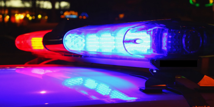 Мужчина увёз кричащую девушку в авто: полиция отреагировала на тревожные кадры