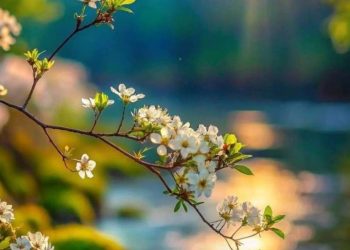 Дождь с грозой пройдут в Астане 7 августа