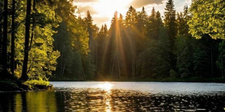 Какая погода ожидается в Казахстане 14 августа