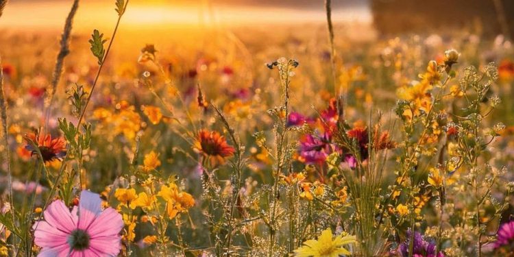 Какая будет погода 26 августа