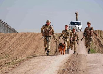 Деньги и товары почти на 6 млрд тенге изъяли пограничники