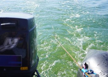 Ещё одно тело найдено в ходе поисково-спасательной операции на Сорбулаке