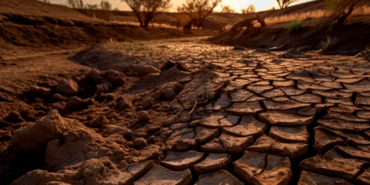 Каким регионам Казахстана грозит страшная засуха?