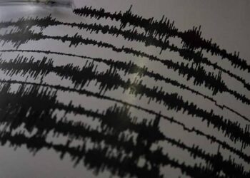 Землетрясение произошло у восточного побережья Камчатки