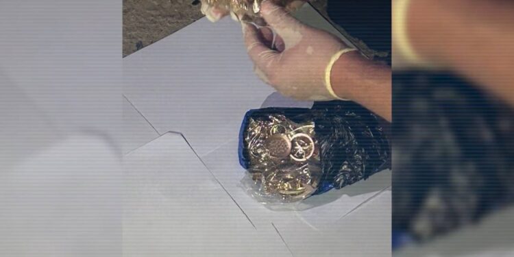 Банда квартирных воров обчистила дома туркестанцев почти на 40 млн тенге (ВИДЕО)