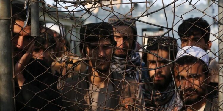 Талибы полностью отрезали Афганистан от интернета